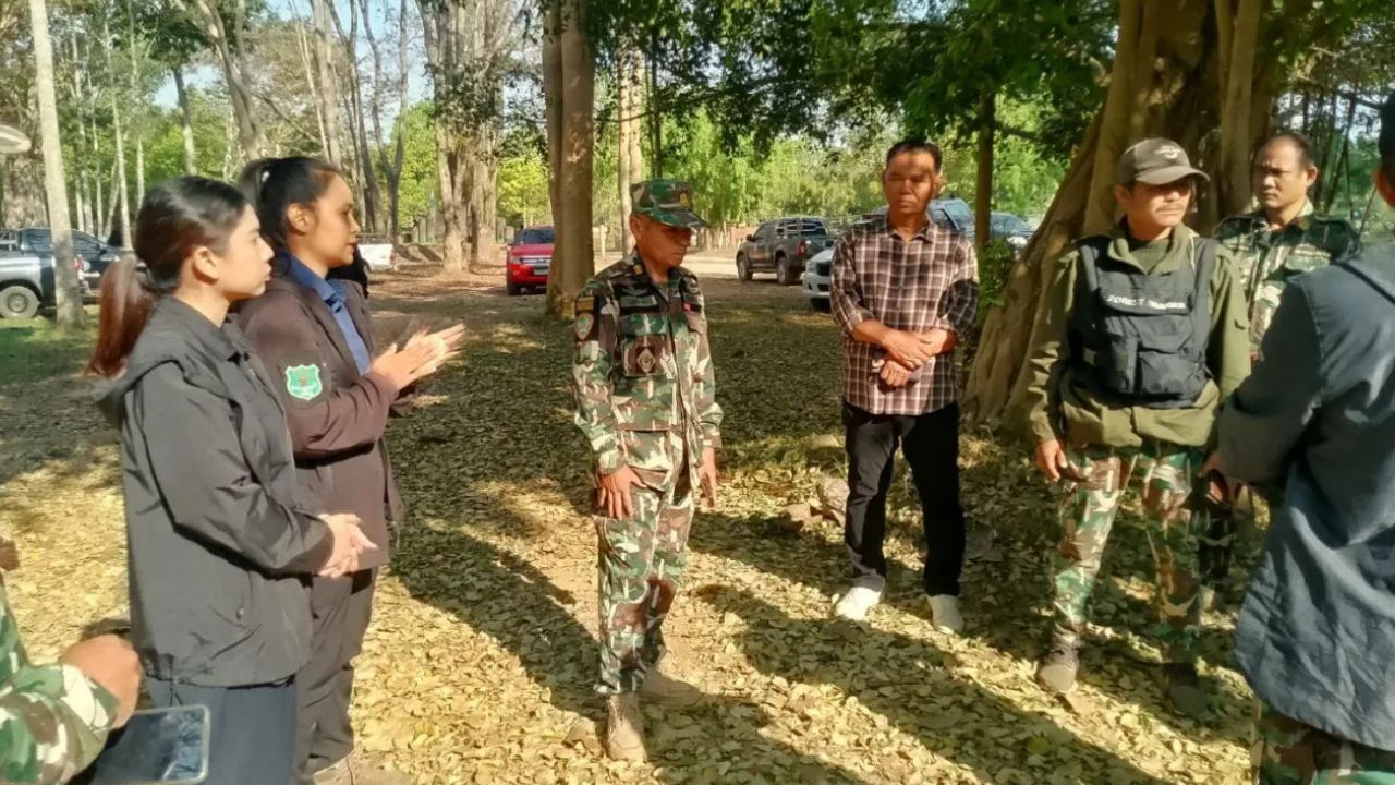 Park officers inspect site of fatal elephant attack at Khao Yai