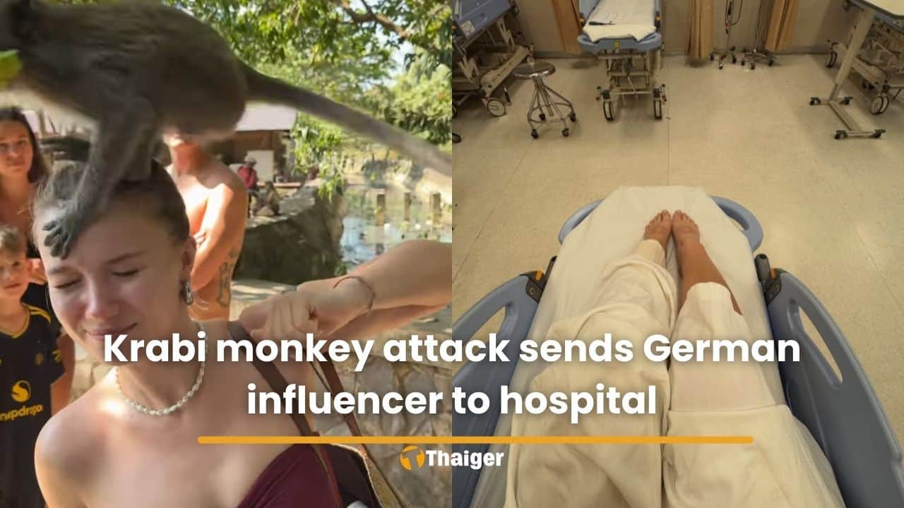 Krabi monkey attack sends German influencer to hospital | Thaiger