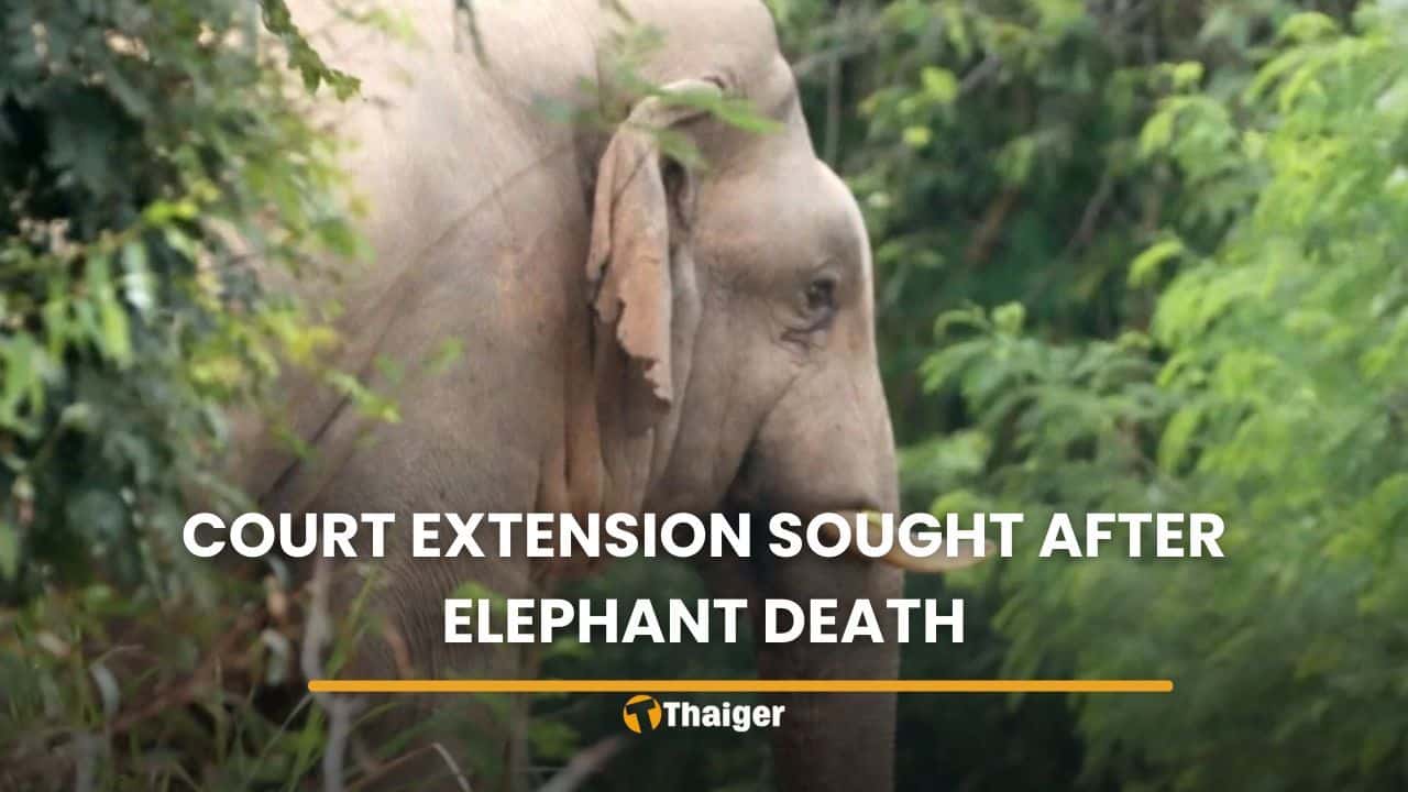 Court extension sought after elephant’s death during relocation | Thaiger