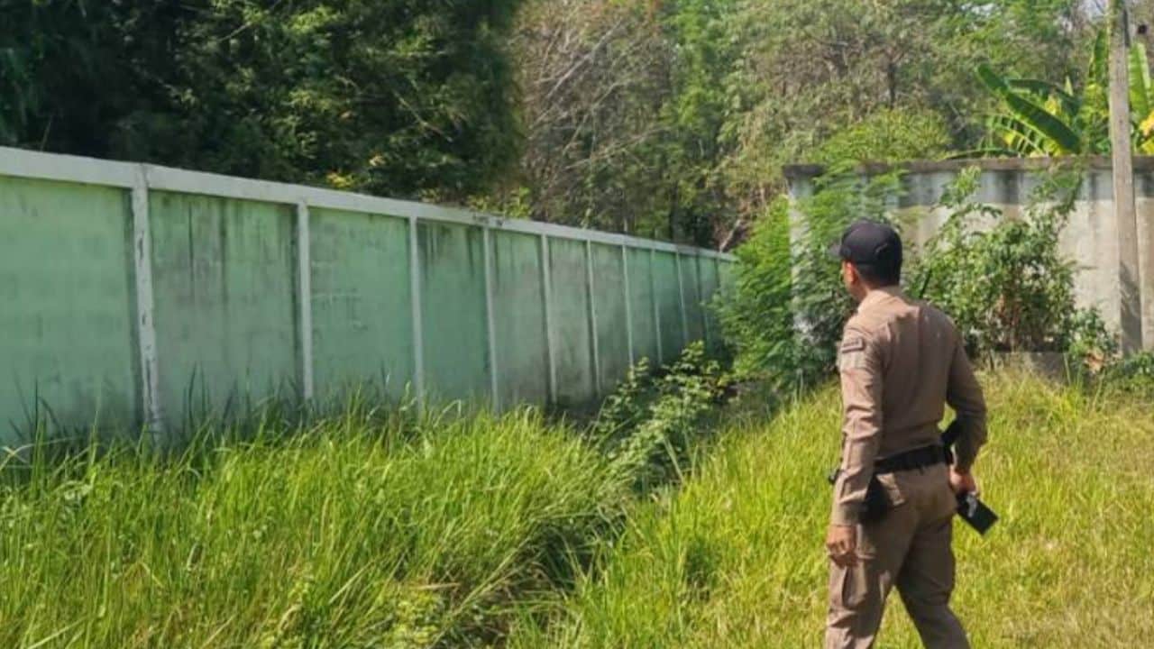 Sexual abuse on stray dog in Buriram