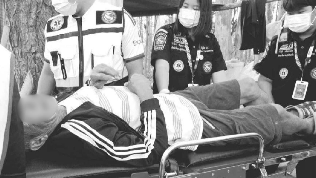 Lampang man dies of sepsis after black fly bite