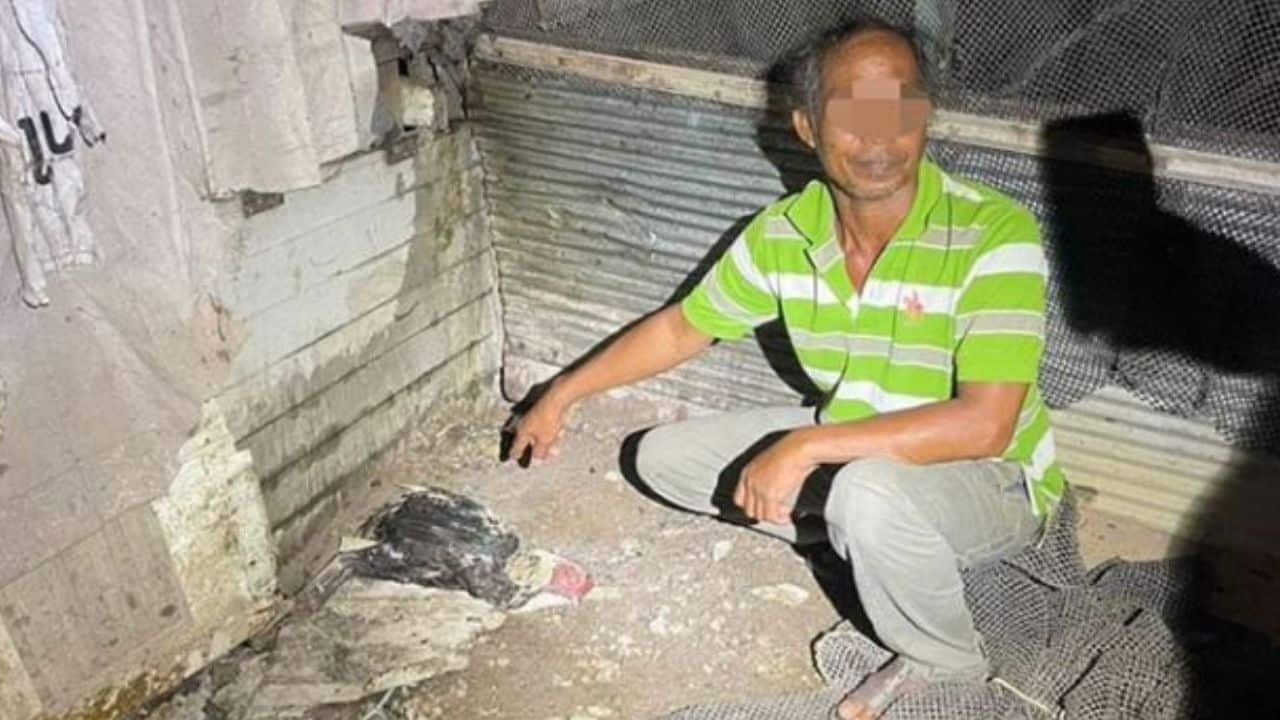 Thai man claims dog attacks his rooter leading him to kill it
