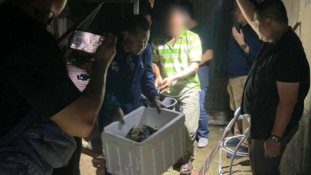 Thai man kills Siberian Husky in Songkhla