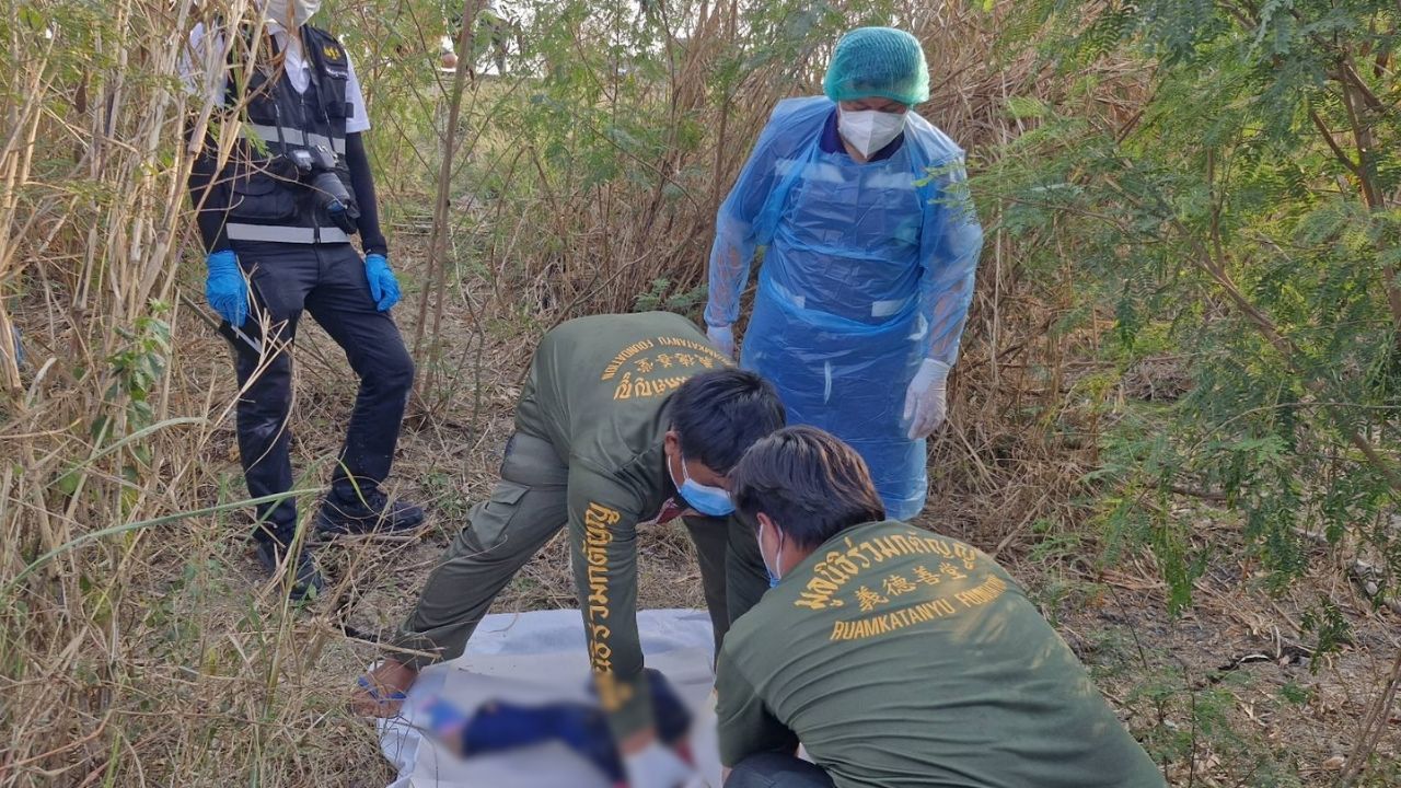 Body of young girl found in roadside forest