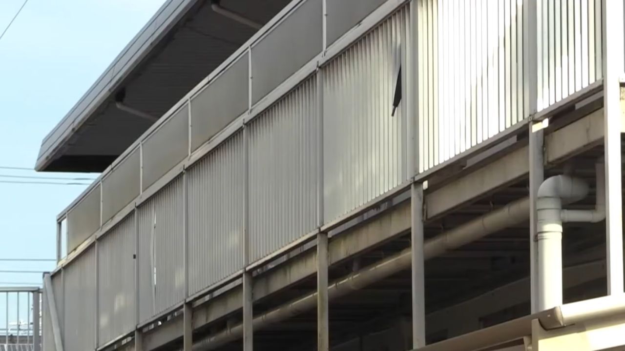 Thai woman murdered by Brazilian in Japan