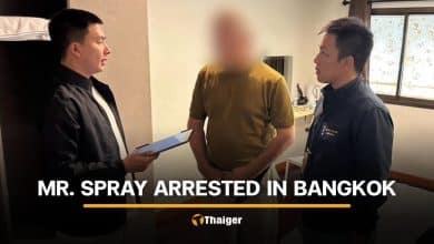 German man arrested for political graffiti on Koh Pha Ngan | Thaiger