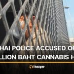 2 Thai police among 10 suspects stealing cash and cannabis trees from vendor | Thaiger
