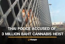 2 Thai police among 10 suspects stealing cash and cannabis trees from vendor | Thaiger