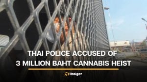 2 Thai police among 10 suspects stealing cash and cannabis trees from vendor | Thaiger