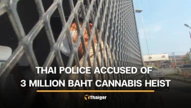 2 Thai police among 10 suspects stealing cash and cannabis trees from vendor | Thaiger