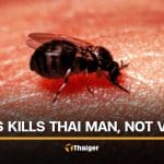 Lampang hospital explains death of Thai man following insect bites | Thaiger