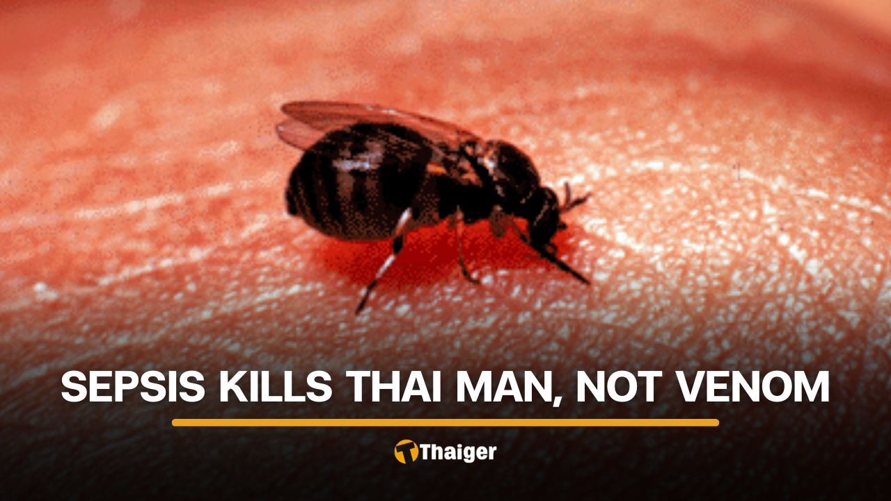 Lampang hospital explains death of Thai man following insect bites | Thaiger