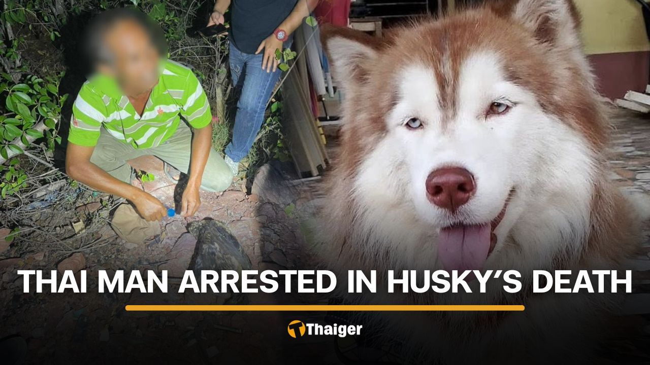 Thai man arrested for beating and burning Siberian Husky in Songkhla | Thaiger