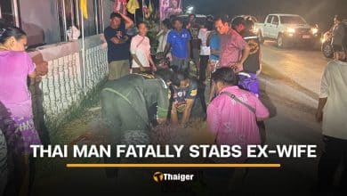 Thai man held for fatal stabbing on ex-wife in Lop Buri | Thaiger