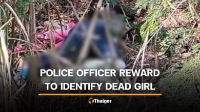 Reward offered for information about unidentified dead girl in Saraburi | Thaiger