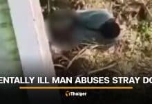 Mentally ill man caught sexually abusing dog near Buriram school | Thaiger