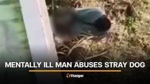 Mentally ill man caught sexually abusing dog near Buriram school | Thaiger