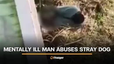 Mentally ill man caught sexually abusing dog near Buriram school | Thaiger