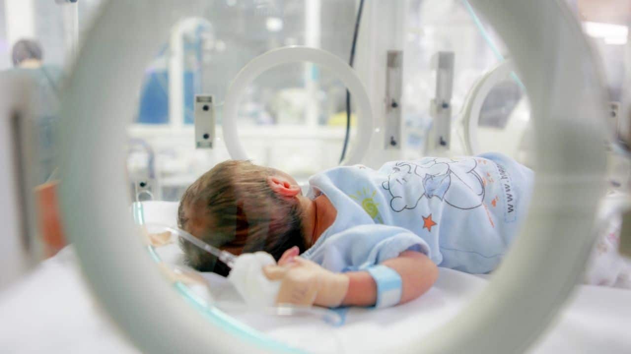 Friend steals child's identity to scam her husband's family