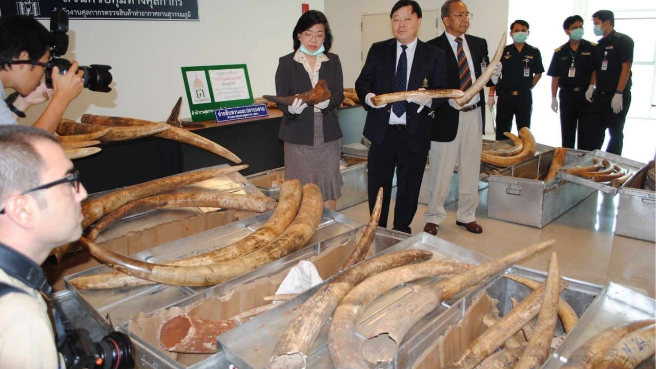 10 things you absolutely cannot bring into Thailand | News by Thaiger