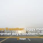February 11 weather: Foggy mornings, warmer days, Southern rain