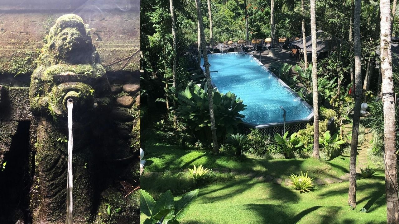 Why high-functioning professionals are seeking private recovery instead of group rehab | News by Thaiger