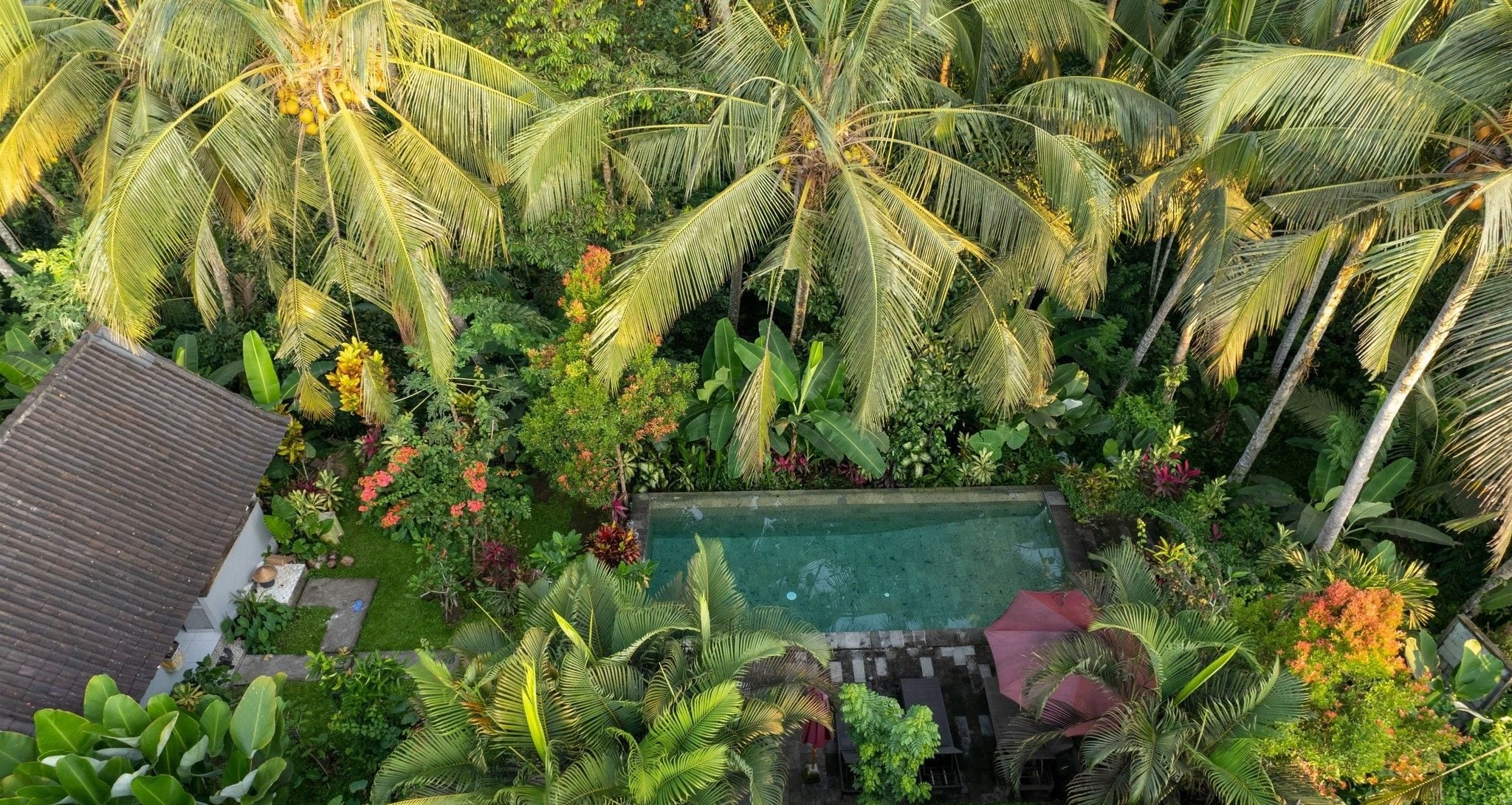 Why high-functioning professionals are seeking private recovery instead of group rehab | News by Thaiger