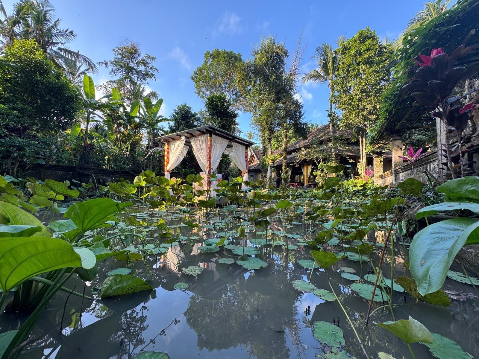 Why high-functioning professionals are seeking private recovery instead of group rehab | News by Thaiger