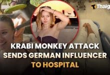 Thailand News | Krabi’s “cute monkey moment” turns into a hospital trip for German influencer, DLT warns motorists about fake “online licence” pages promising no exams | Thaiger