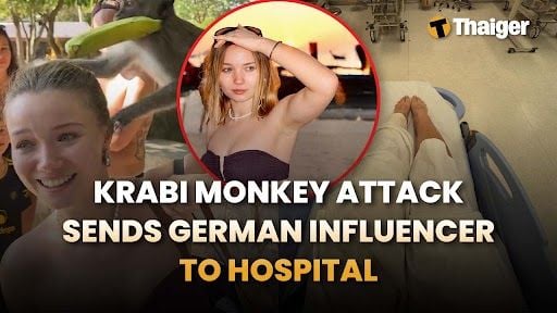 Thailand News | Krabi’s “cute monkey moment” turns into a hospital trip for German influencer, DLT warns motorists about fake “online licence” pages promising no exams | Thaiger