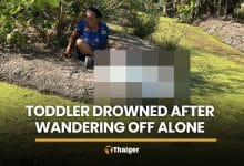 Toddler found dead in ditch behind Ang Thong home | Thaiger