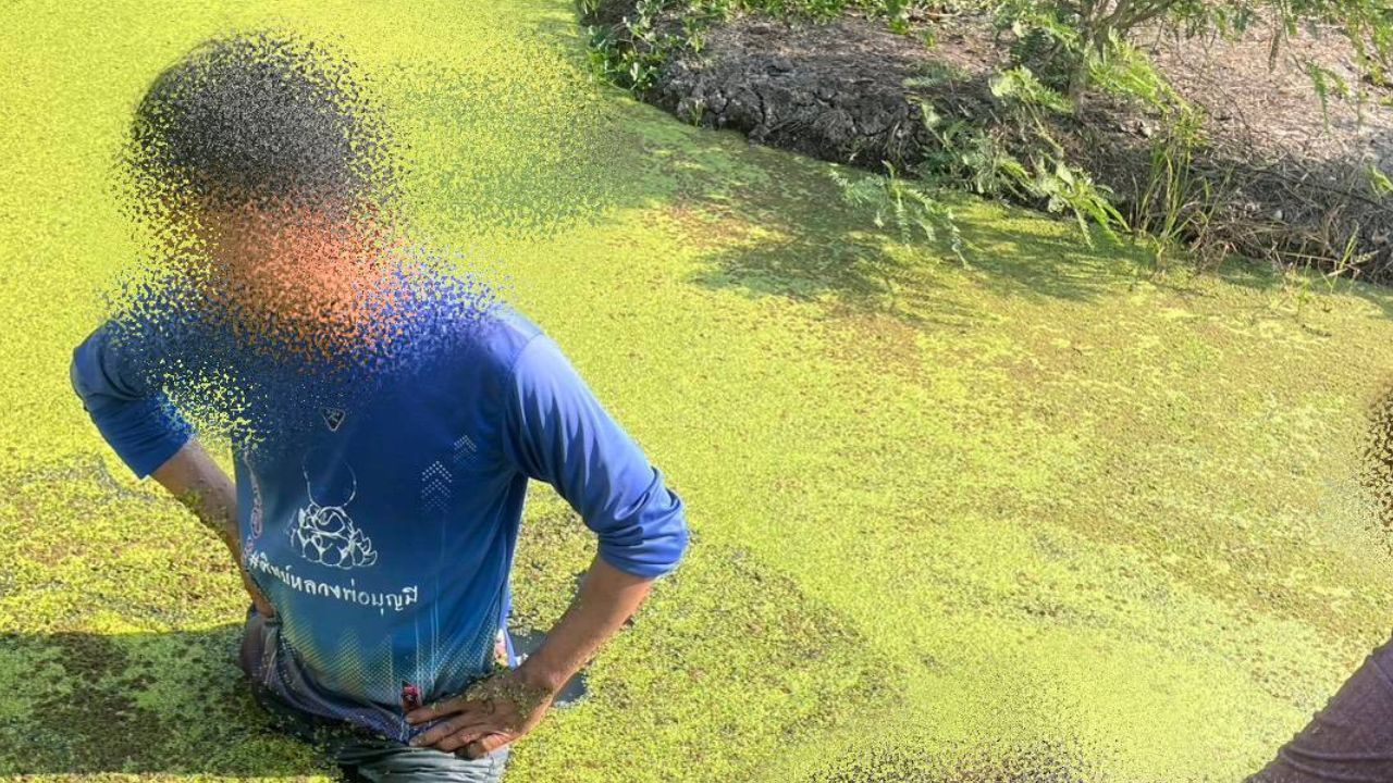 Officers at the scene where a toddler was found dead in a ditch in Ang Thong