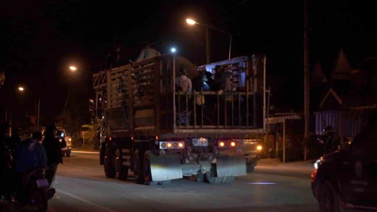 Court extension sought after elephant's death during relocation | News by Thaiger