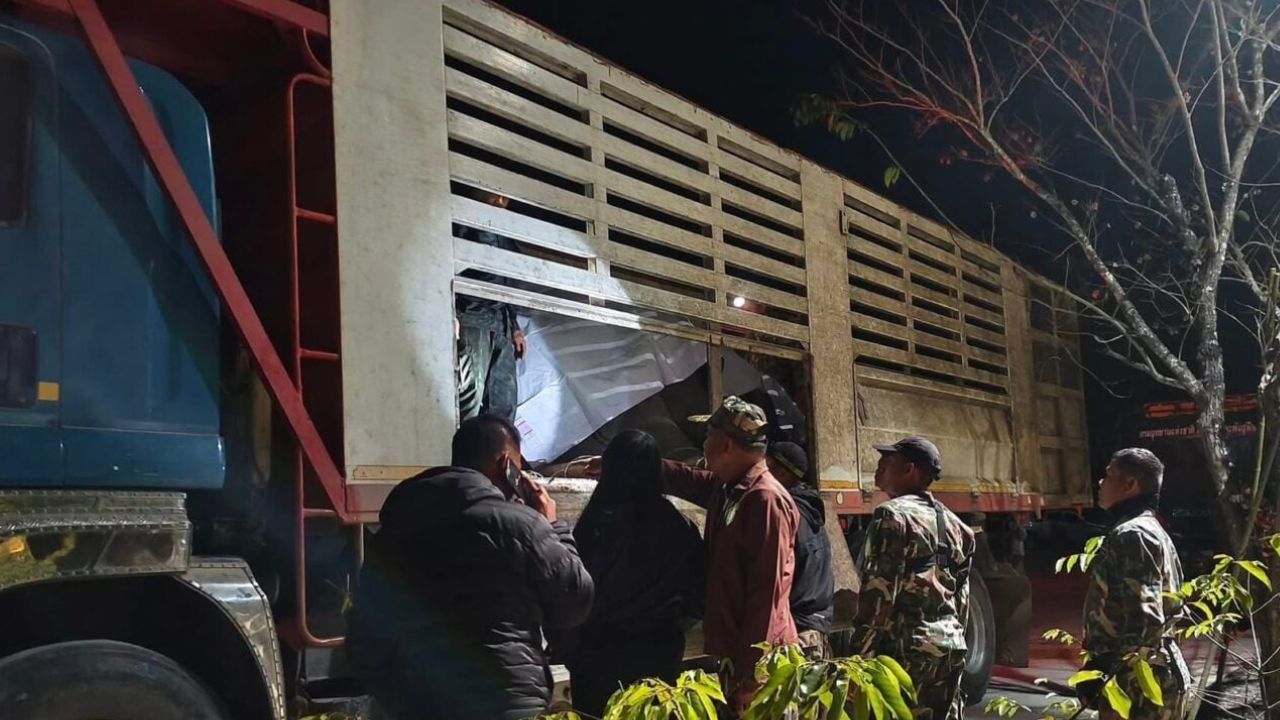 Wild elephant Phlai Sida Hoo Phap being prepared for relocation in Khon Kaen