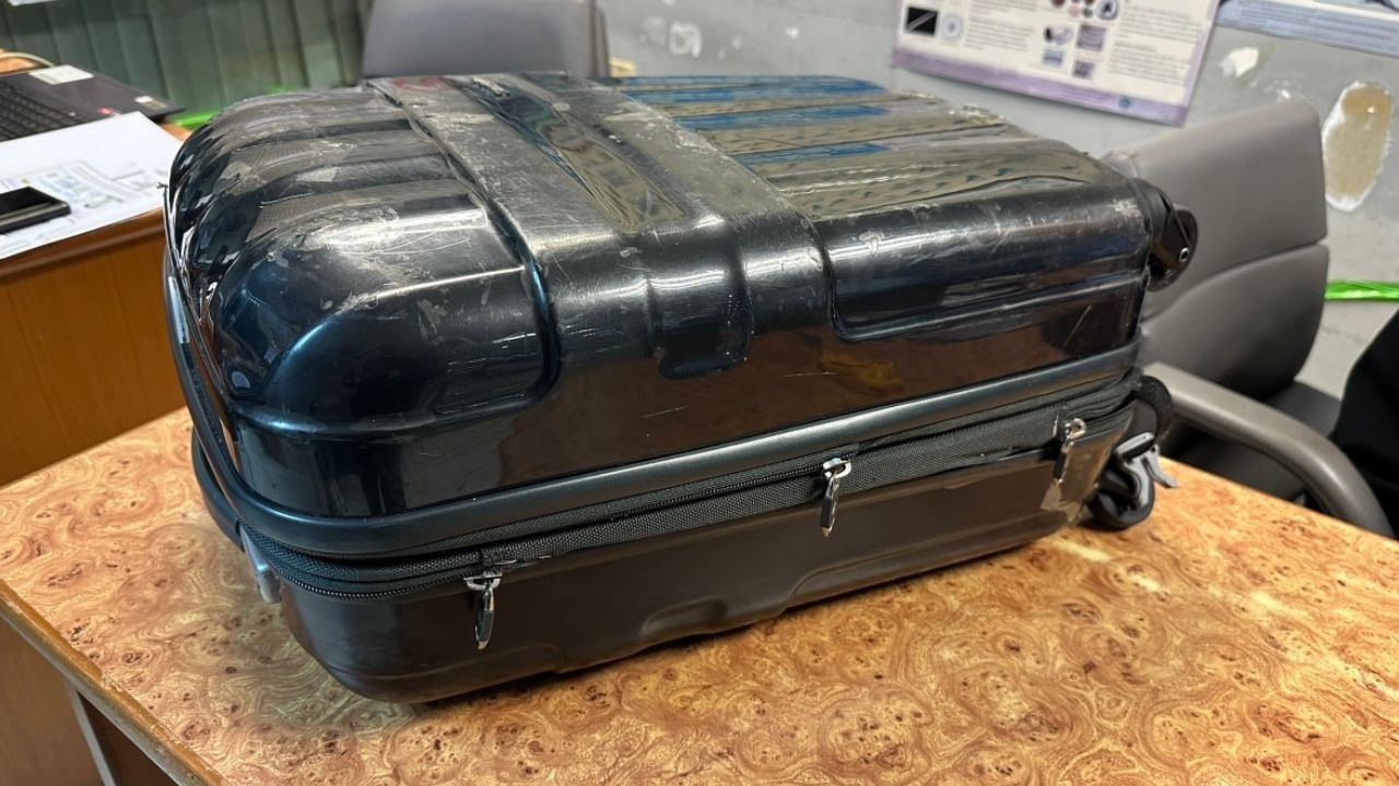 Bengal monitor and opossum seized from luggage at Suvarnabhumi Airport