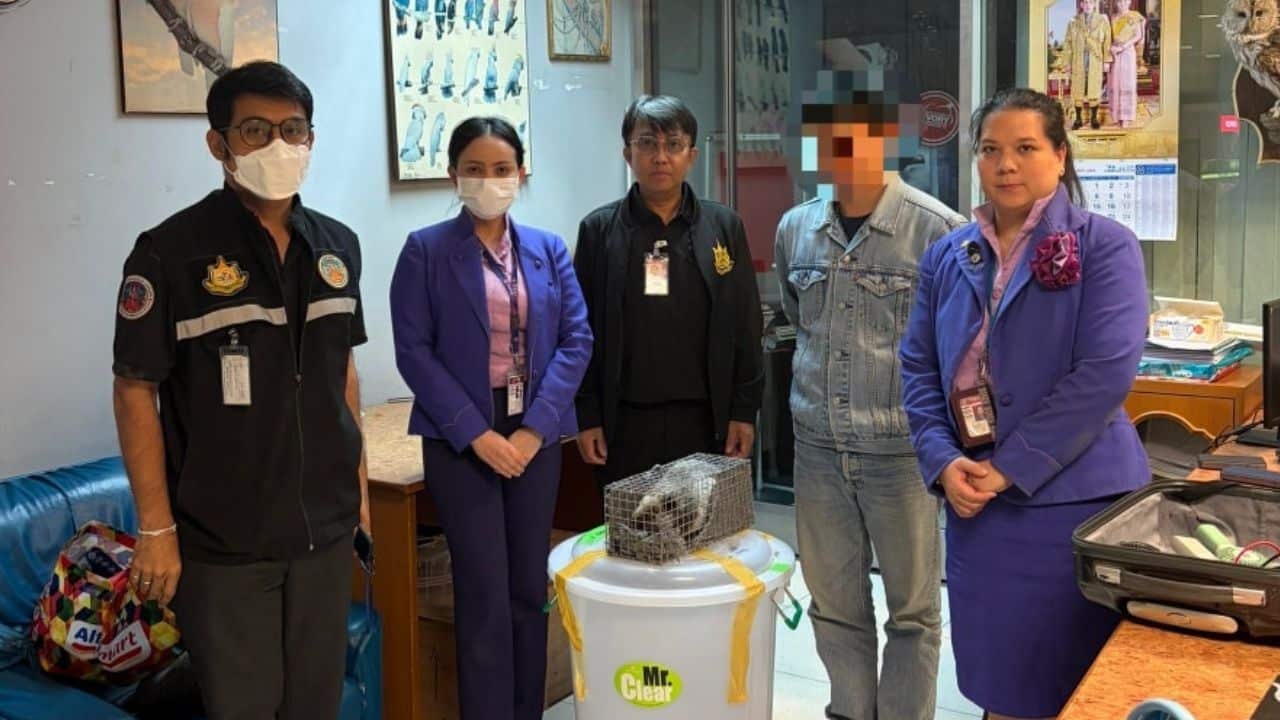 Bengal monitor and opossum seized from luggage at Suvarnabhumi Airport