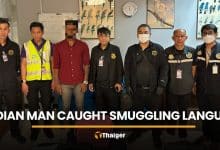Indian man’s langur smuggling attempt busted at Suvarnabhumi | Thaiger