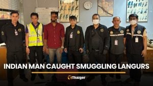 Indian man’s langur smuggling attempt busted at Suvarnabhumi | Thaiger