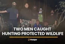 Two men caught hunting protected wildlife in Salawin National Park | Thaiger