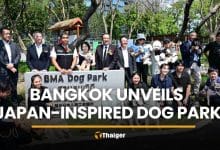 Bangkok unveils Japan-inspired dog park in Lumpini | Thaiger