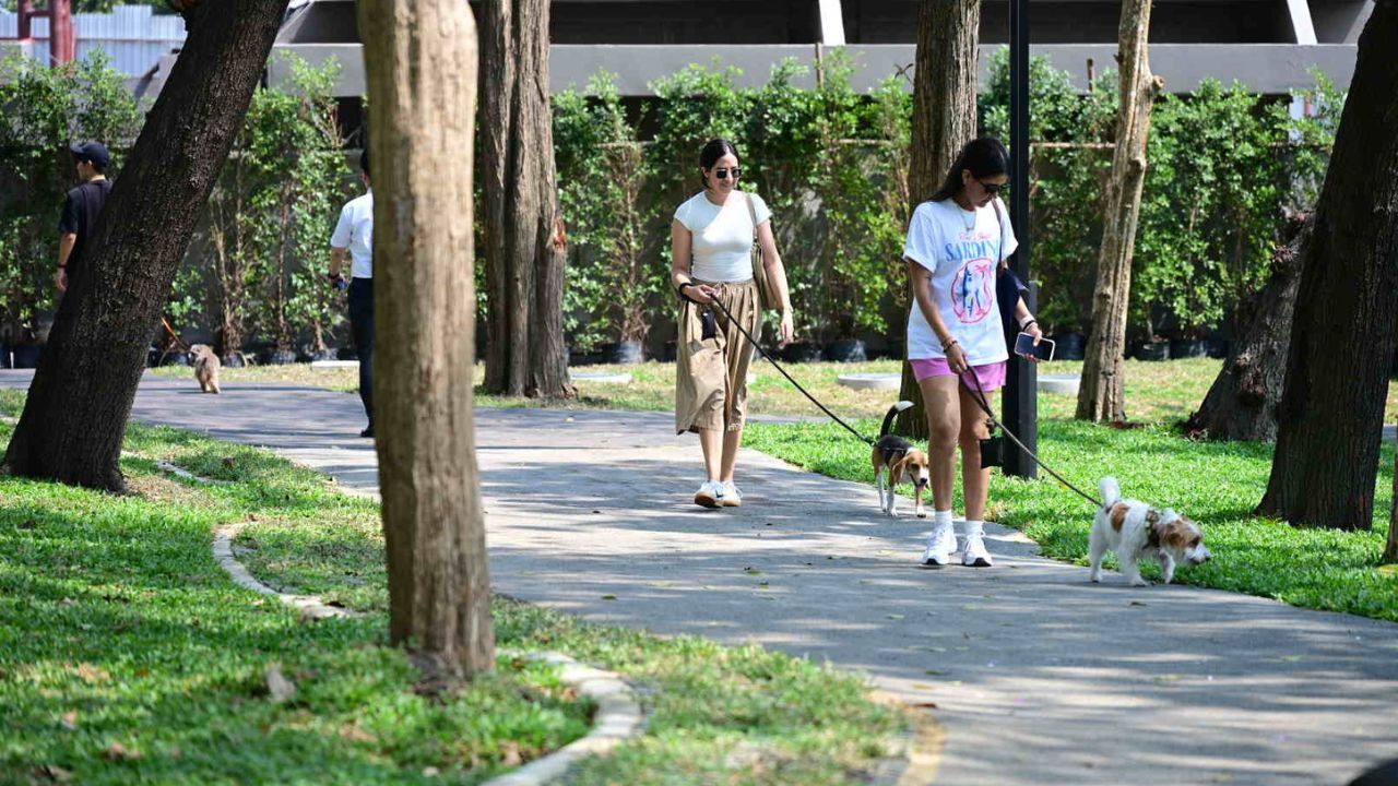 Opening ceremony of Lumpini Dog Park with Bangkok and Japanese officials