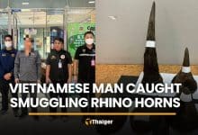Vietnamese man arrested at Suvarnabhumi with rhino horns | Thaiger