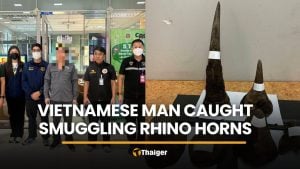Vietnamese man arrested at Suvarnabhumi with rhino horns | Thaiger