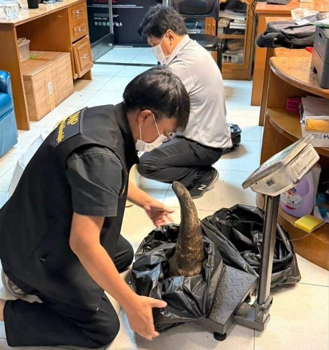 Rhino horn smuggling suspect arrested at Suvarnabhumi Airport