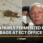 Man throws fermented fish at Election Commission office in Bangkok | Thaiger