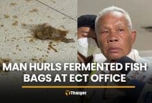 Man throws fermented fish at Election Commission office in Bangkok | Thaiger