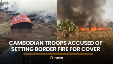 Cambodian soldiers accused of setting border forest fires for cover