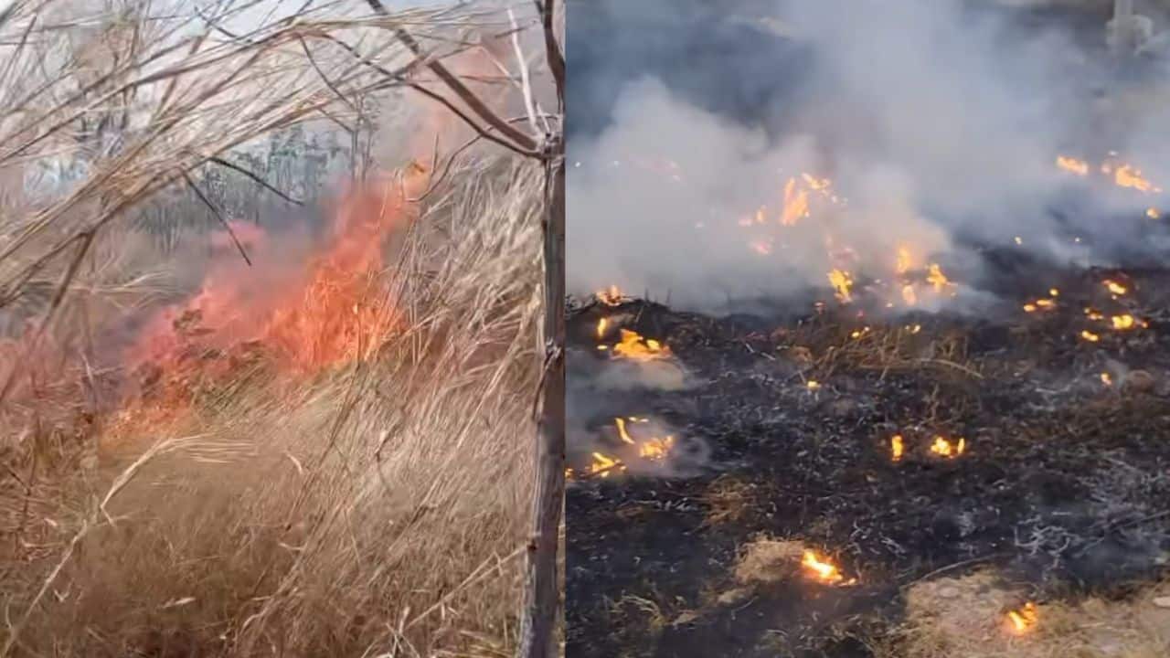 Forest fire burning along the Thai-Cambodian border amid claims of tactical use