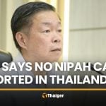 DDC says no Nipah virus cases found in Thailand, drills continue | Thaiger