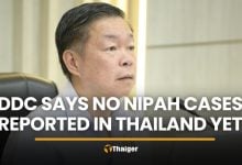 DDC says no Nipah virus cases found in Thailand, drills continue | Thaiger